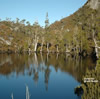 Wombat Pool Cradle Mountain